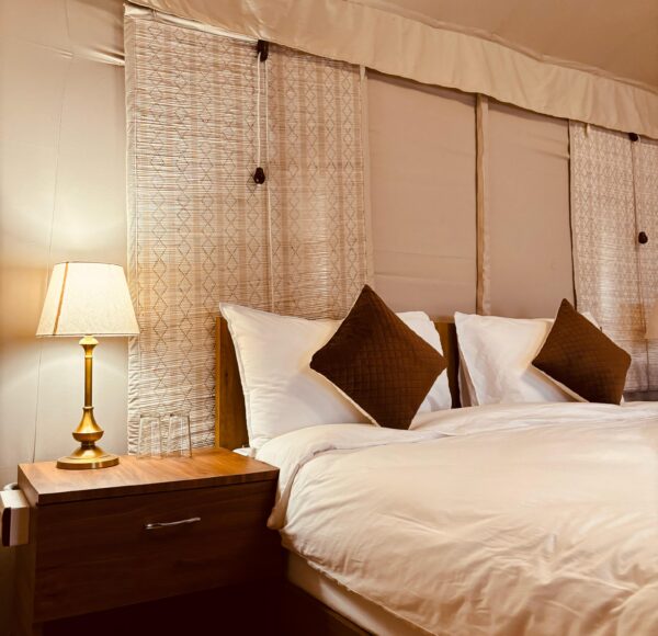 bandhav Moonlight resort