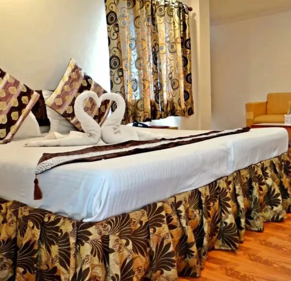 Hotel Vintage Manali