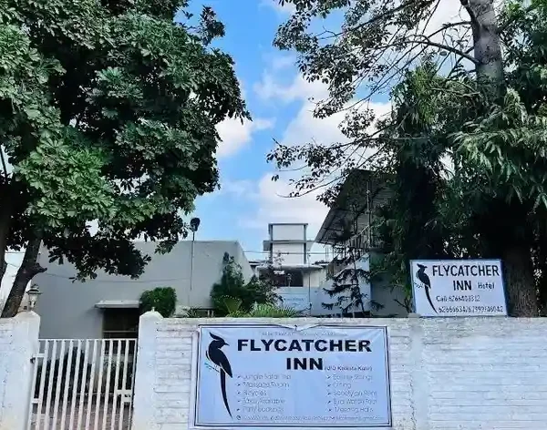 Flycatcher Inn