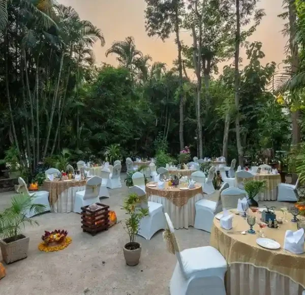 Tiger Den bandhavgarh
