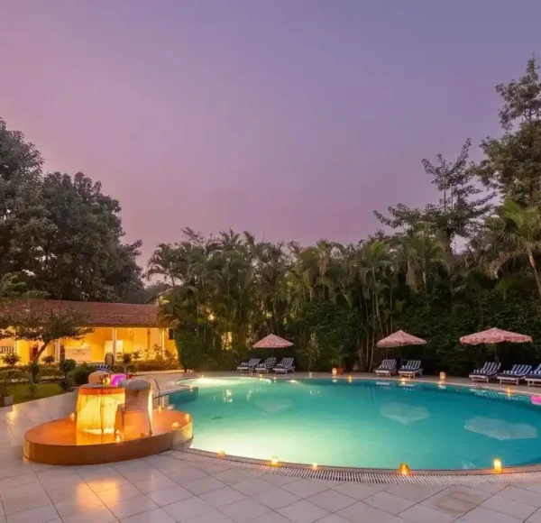 Tiger Den bandhavgarh