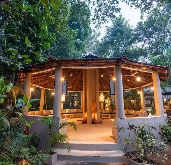 Tiger Den bandhavgarh
