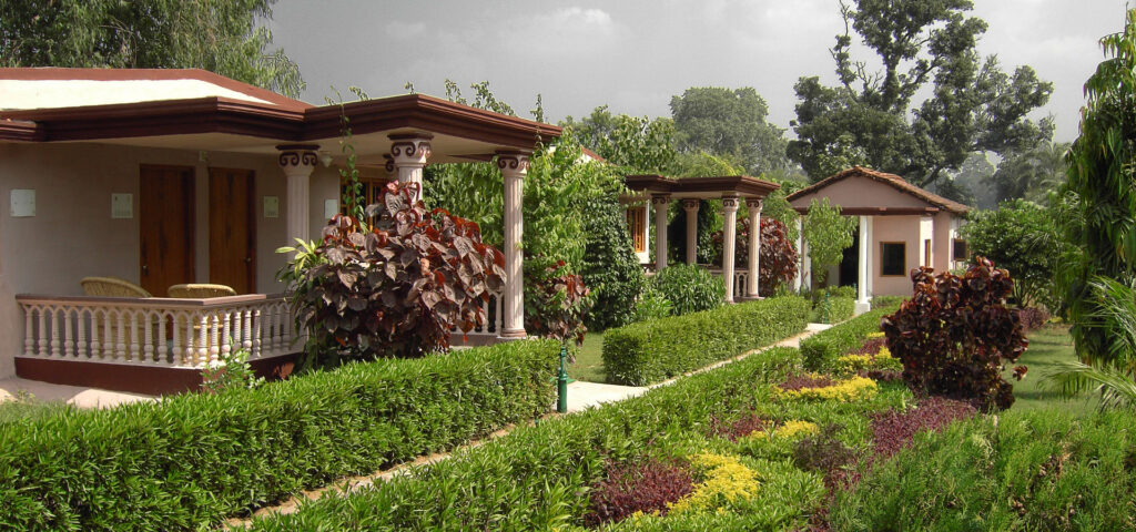 Tiger Den bandhavgarh