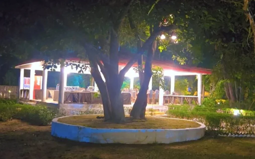 Ashoka Jungle Resort tala