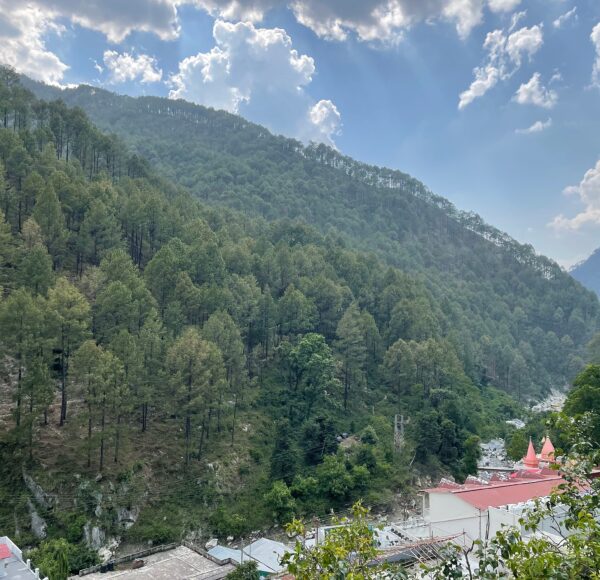 Baba Benison Resort kainchi