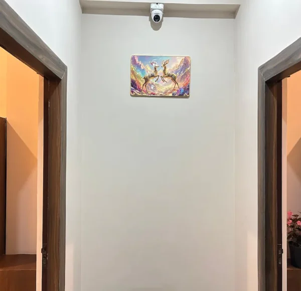 Hotel Lotus Infinity