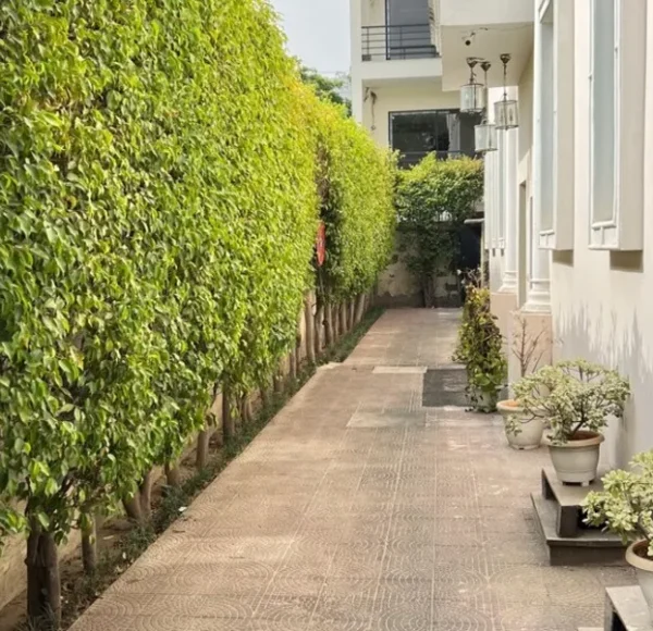 The Luxotic Suites, Gurgaon