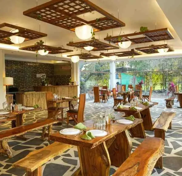 Olive Bandhavgarh