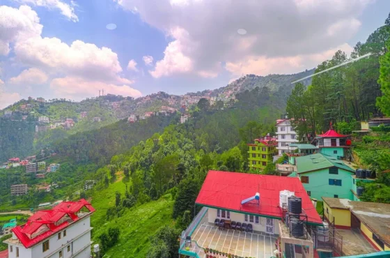 Aplin Hilden Shimla