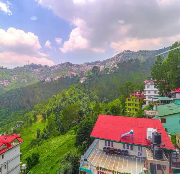 Aplin Hilden Shimla