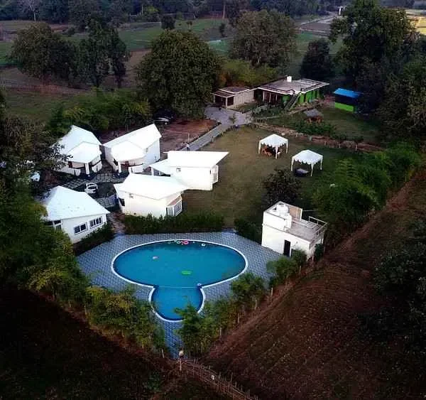 Olive Bandhavgarh