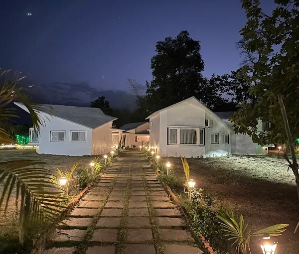 Olive Bandhavgarh